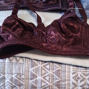 Bali Rich Burgundy Floral Bra